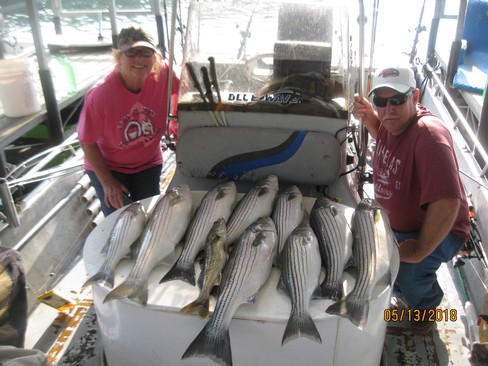 Nice Striped Bass